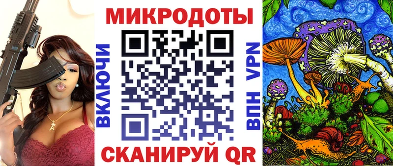 Псилоцибиновые грибы Psilocybe  где найти   Тобольск 
